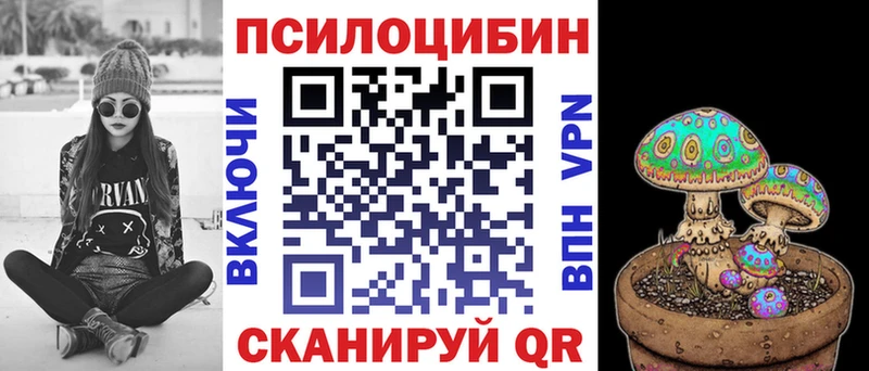 площадка как зайти  Усть-Лабинск  Псилоцибиновые грибы Magic Shrooms 